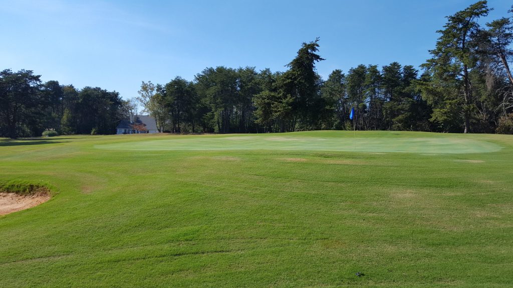 view of golf course