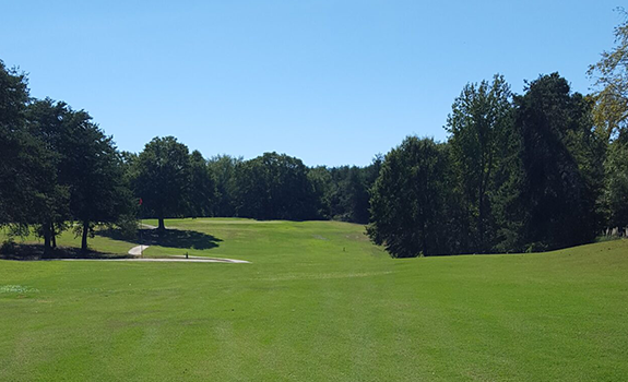 Golf course fairway